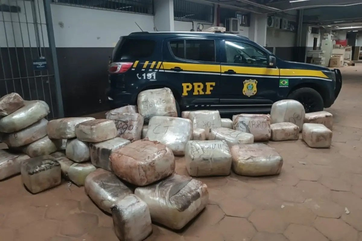 PRF apreende caminhão com mais de 550 kg de drogas na BR-262, em MS