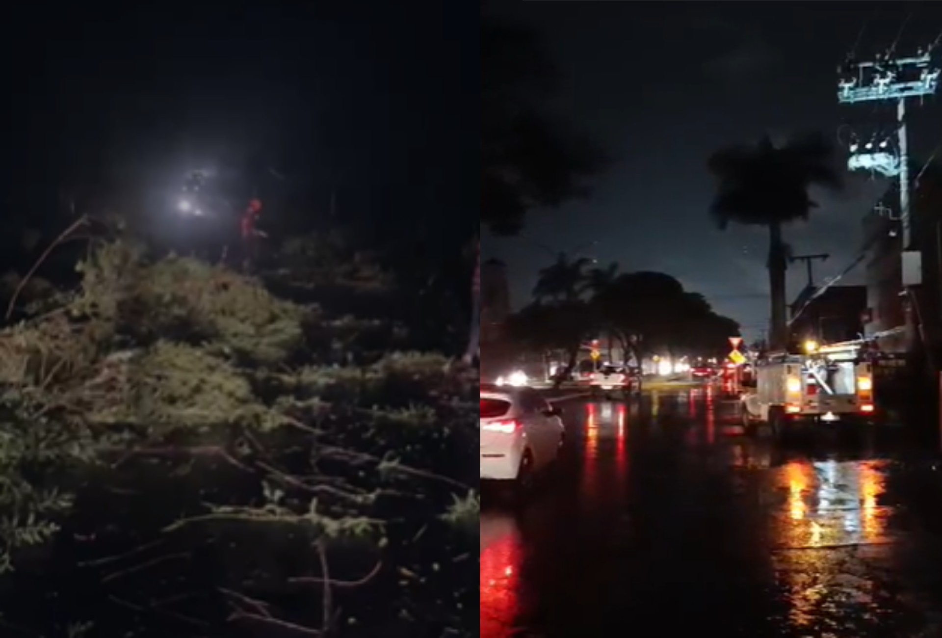 Frente fria: chuva chega a MS, alivia calor e causa quedas de árvores, postes e falta de energi...